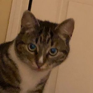 Meet your Posher, Denise